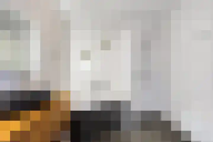Dagpauwoog 22 Mierlo thumbnail 21