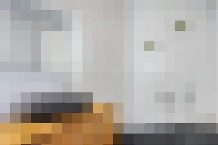 Dagpauwoog 22 Mierlo thumbnail 22