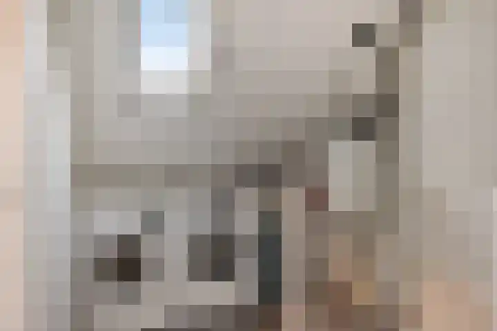 Dagpauwoog 22 Mierlo thumbnail 25