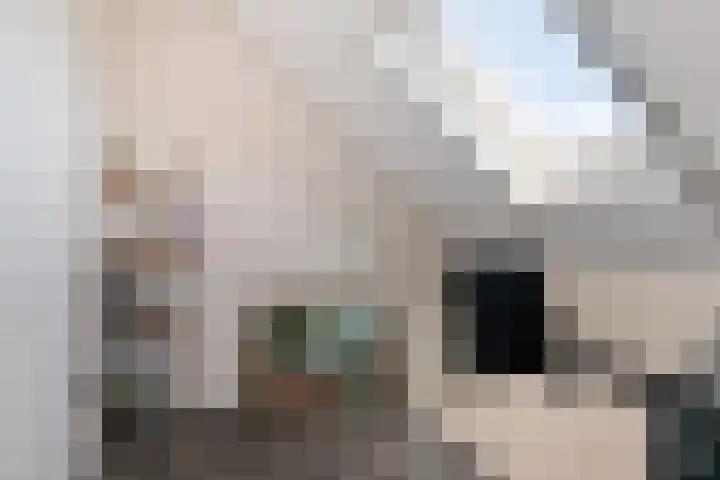 Dagpauwoog 22 Mierlo thumbnail 26