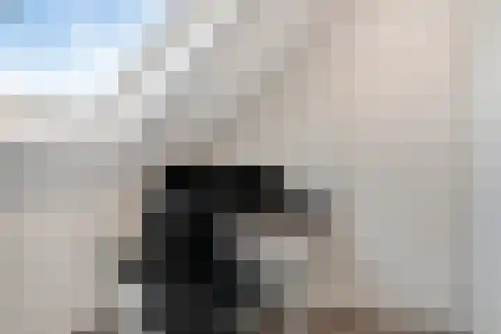 Dagpauwoog 22 Mierlo thumbnail 27