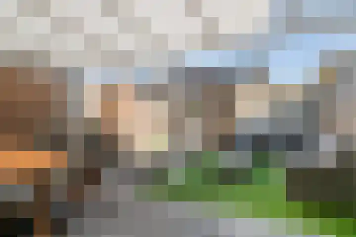 Dagpauwoog 22 Mierlo thumbnail 30
