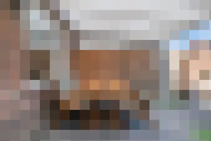 Dagpauwoog 22 Mierlo thumbnail 31