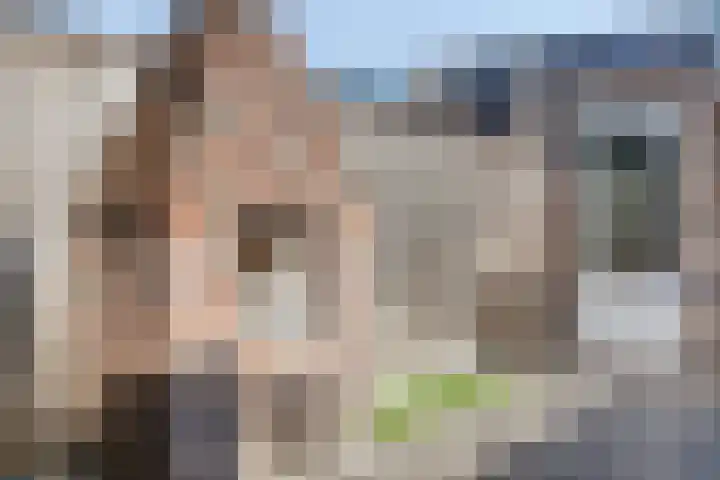 Dagpauwoog 22 Mierlo thumbnail 32