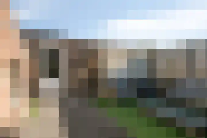 Dagpauwoog 22 Mierlo thumbnail 33