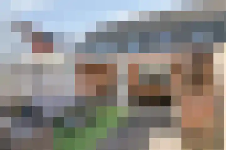 Dagpauwoog 22 Mierlo thumbnail 34