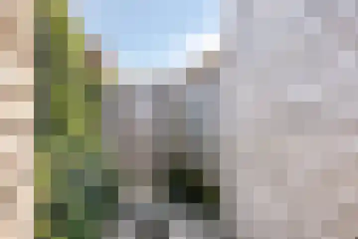 Dagpauwoog 22 Mierlo thumbnail 35