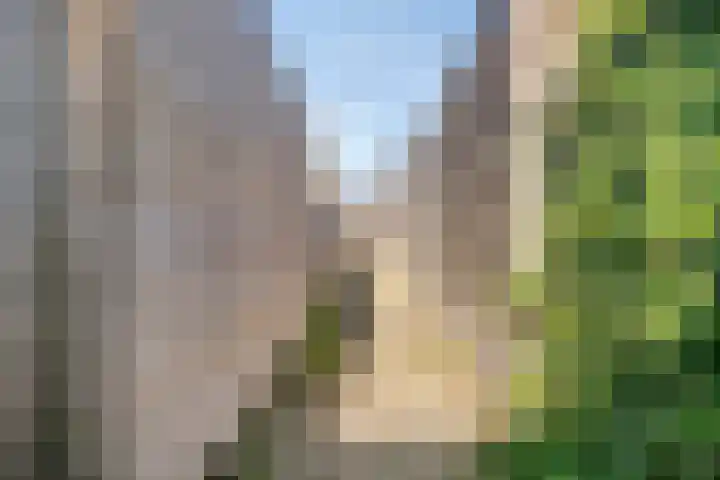 Dagpauwoog 22 Mierlo thumbnail 36