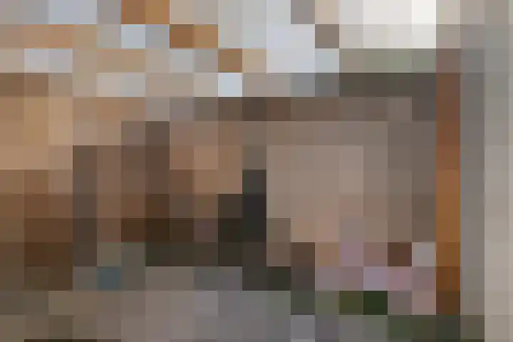 Dagpauwoog 22 Mierlo thumbnail 37