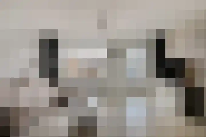 Dagpauwoog 22 Mierlo thumbnail 4