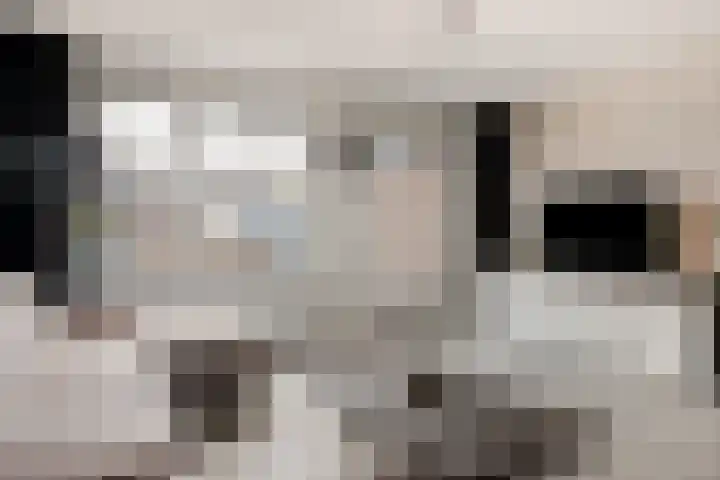 Dagpauwoog 22 Mierlo thumbnail 5
