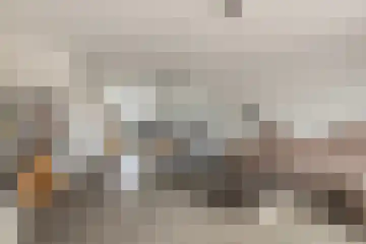 Dagpauwoog 22 Mierlo thumbnail 6