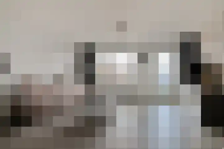 Dagpauwoog 22 Mierlo thumbnail 8