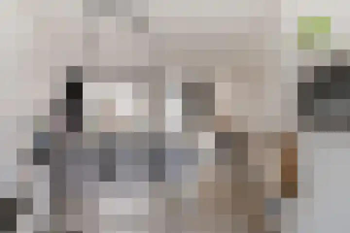 Dagpauwoog 22 Mierlo thumbnail 9