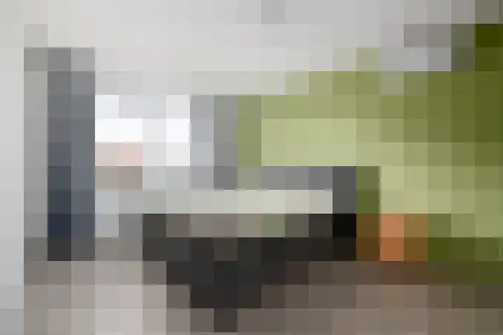Dagpauwoog 22 Wolvega thumbnail 14