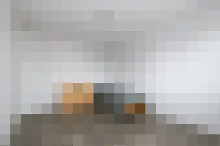 Dagpauwoog 22 Wolvega thumbnail 18