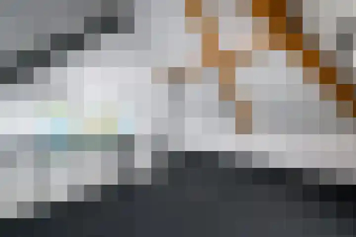Dagpauwoog 22 Wolvega thumbnail 28