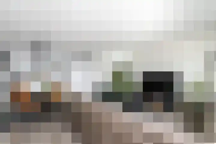 Dagpauwoog 22 Wolvega thumbnail 9