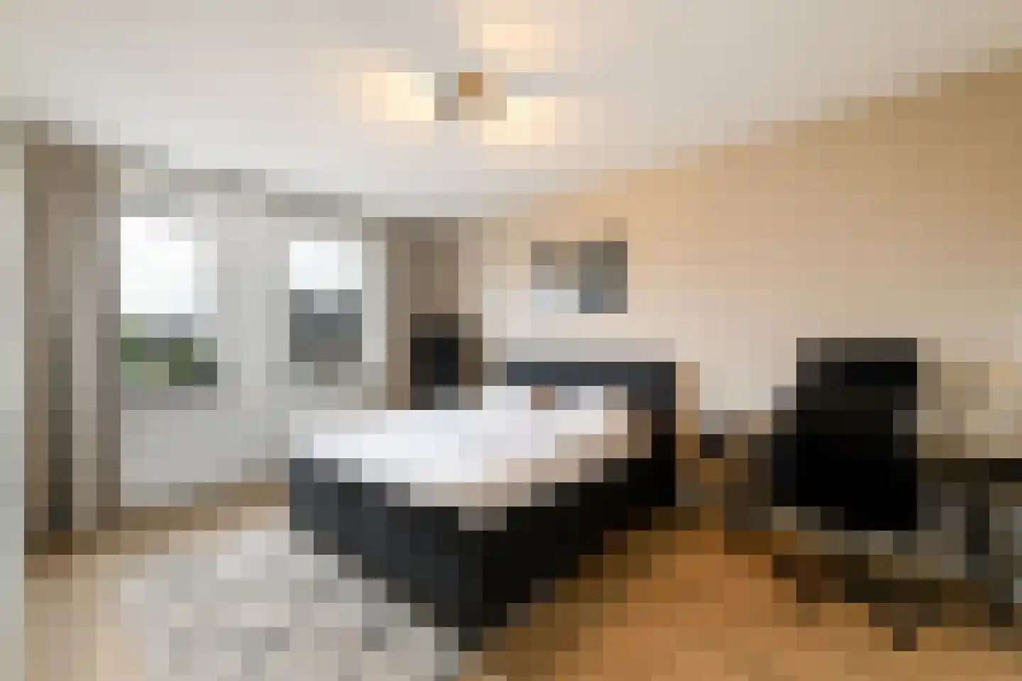 Dagpauwoog 24 Wolvega thumbnail 15