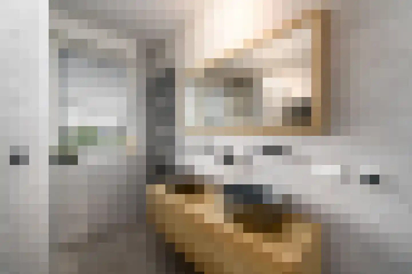 Dagpauwoog 24 Wolvega thumbnail 19