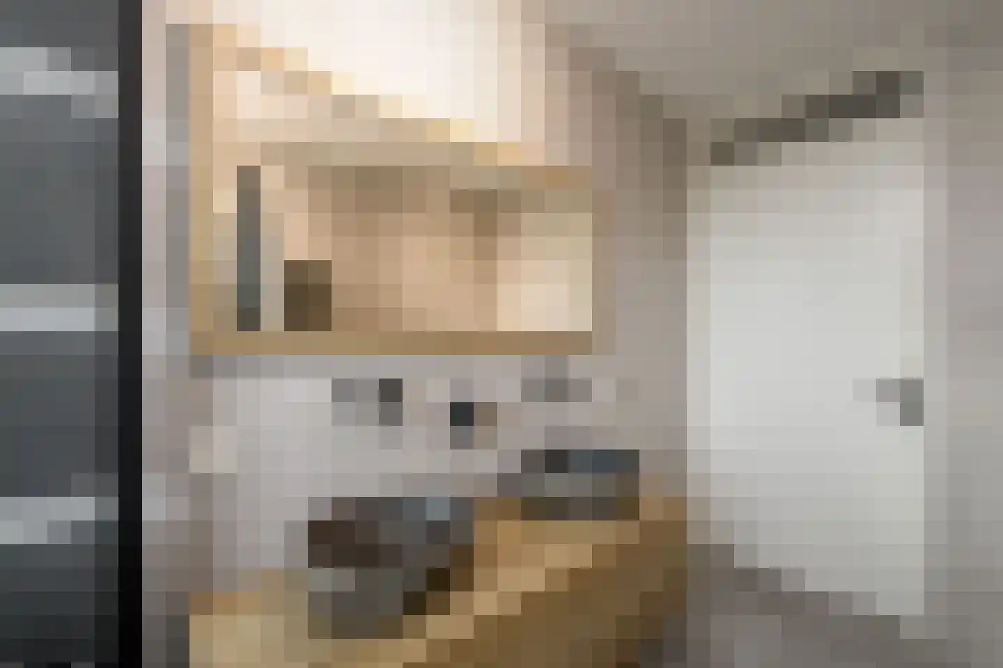 Dagpauwoog 24 Wolvega thumbnail 20