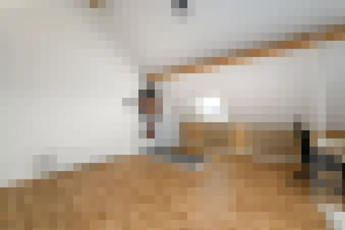 Dagpauwoog 24 Wolvega thumbnail 27