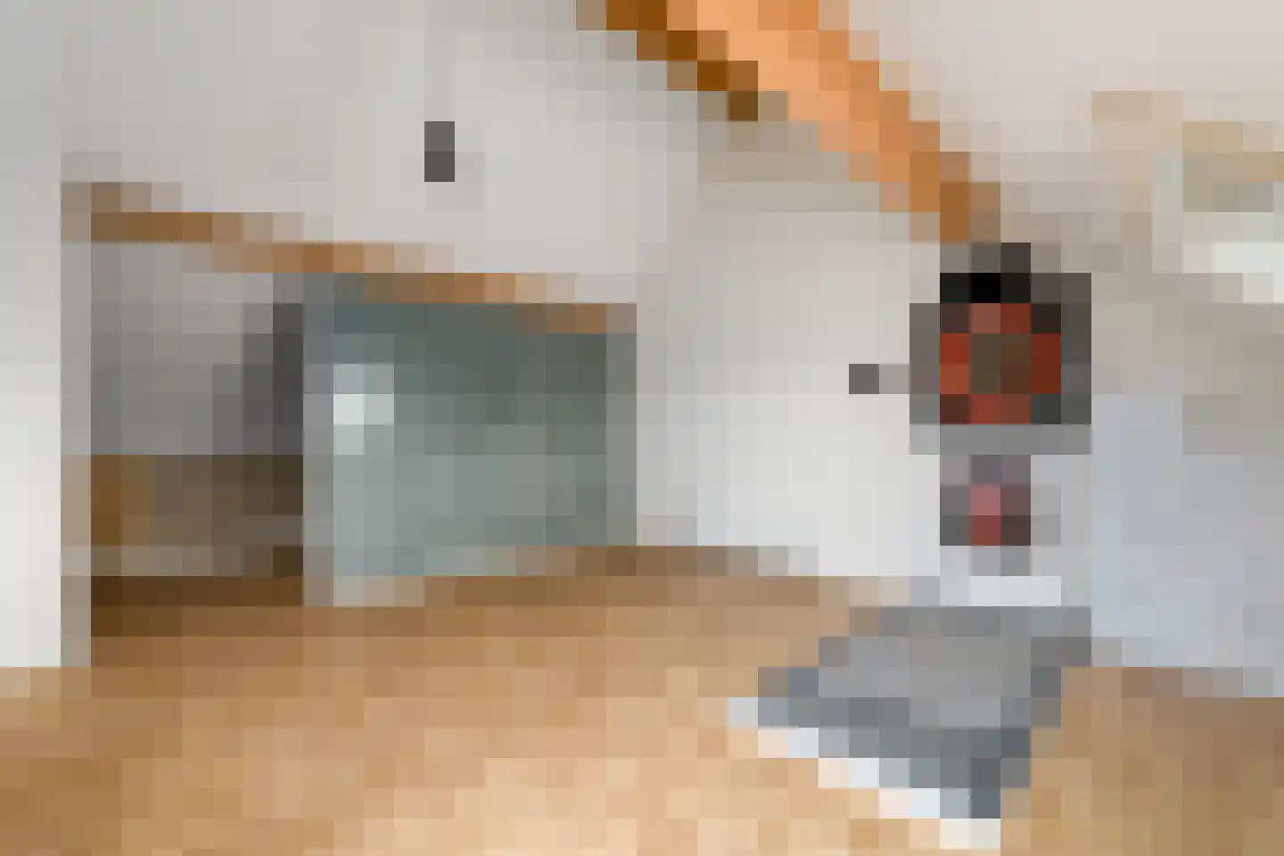 Dagpauwoog 24 Wolvega thumbnail 29
