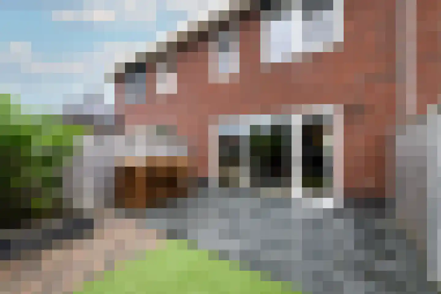 Dagpauwoog 24 Wolvega thumbnail 30