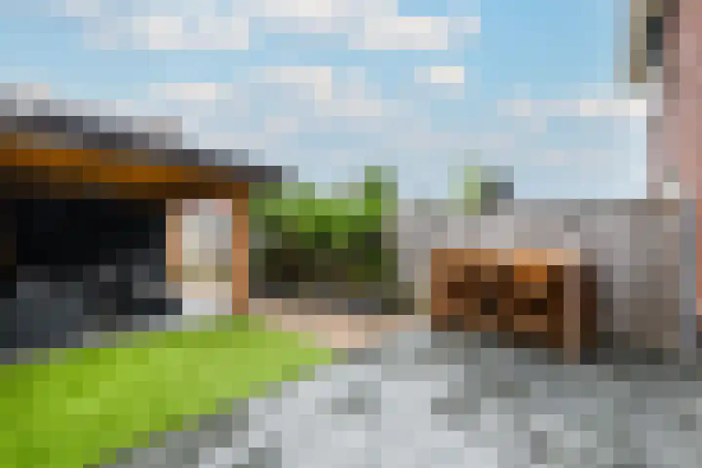 Dagpauwoog 24 Wolvega thumbnail 32