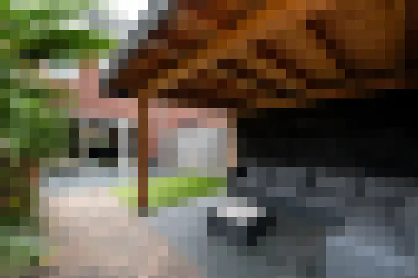 Dagpauwoog 24 Wolvega thumbnail 34