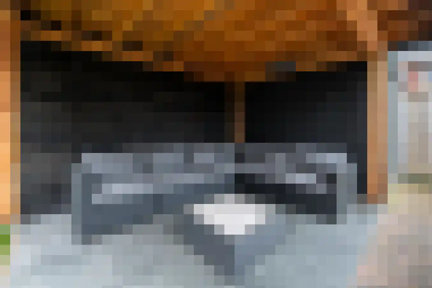 Dagpauwoog 24 Wolvega thumbnail 35