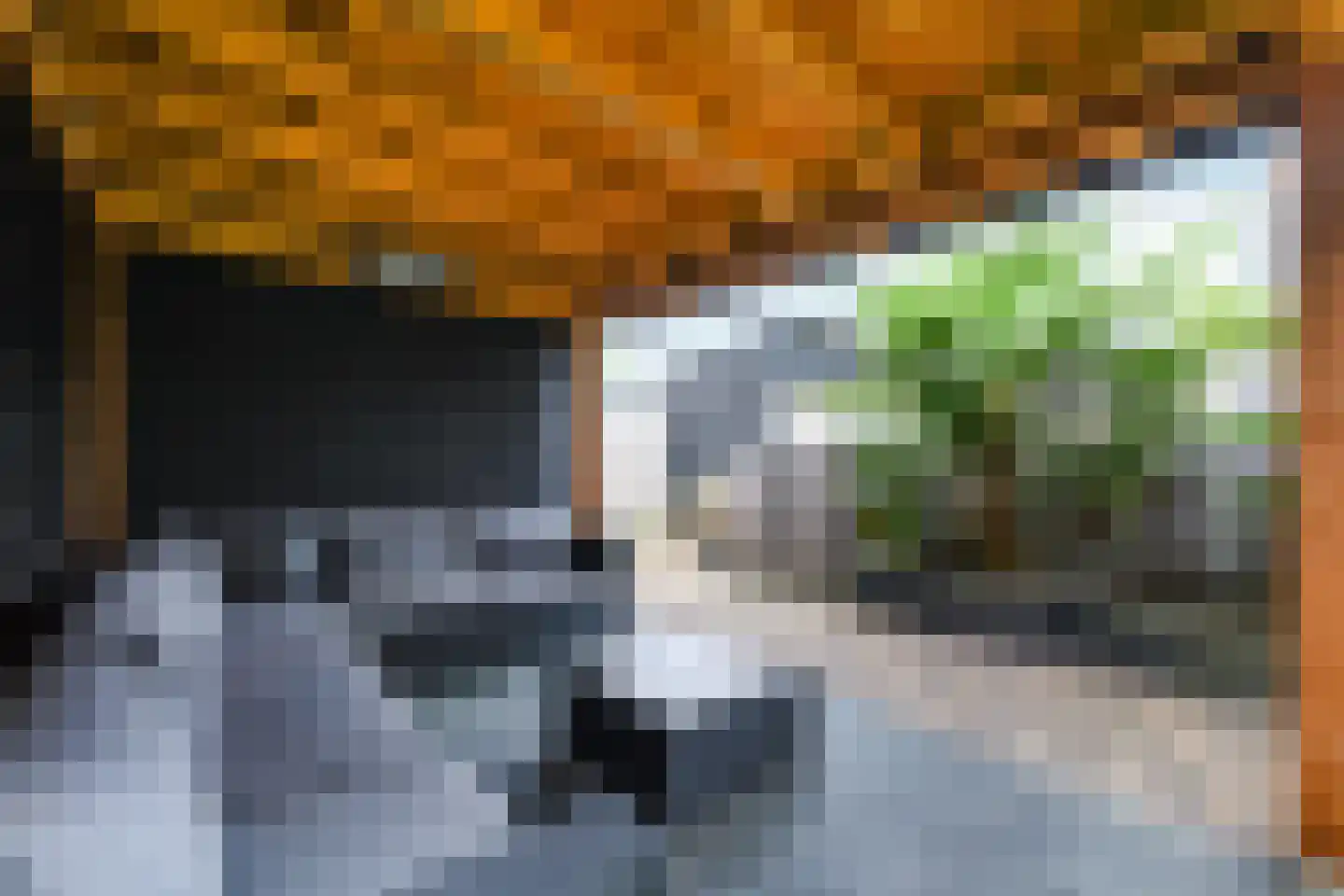 Dagpauwoog 24 Wolvega thumbnail 36