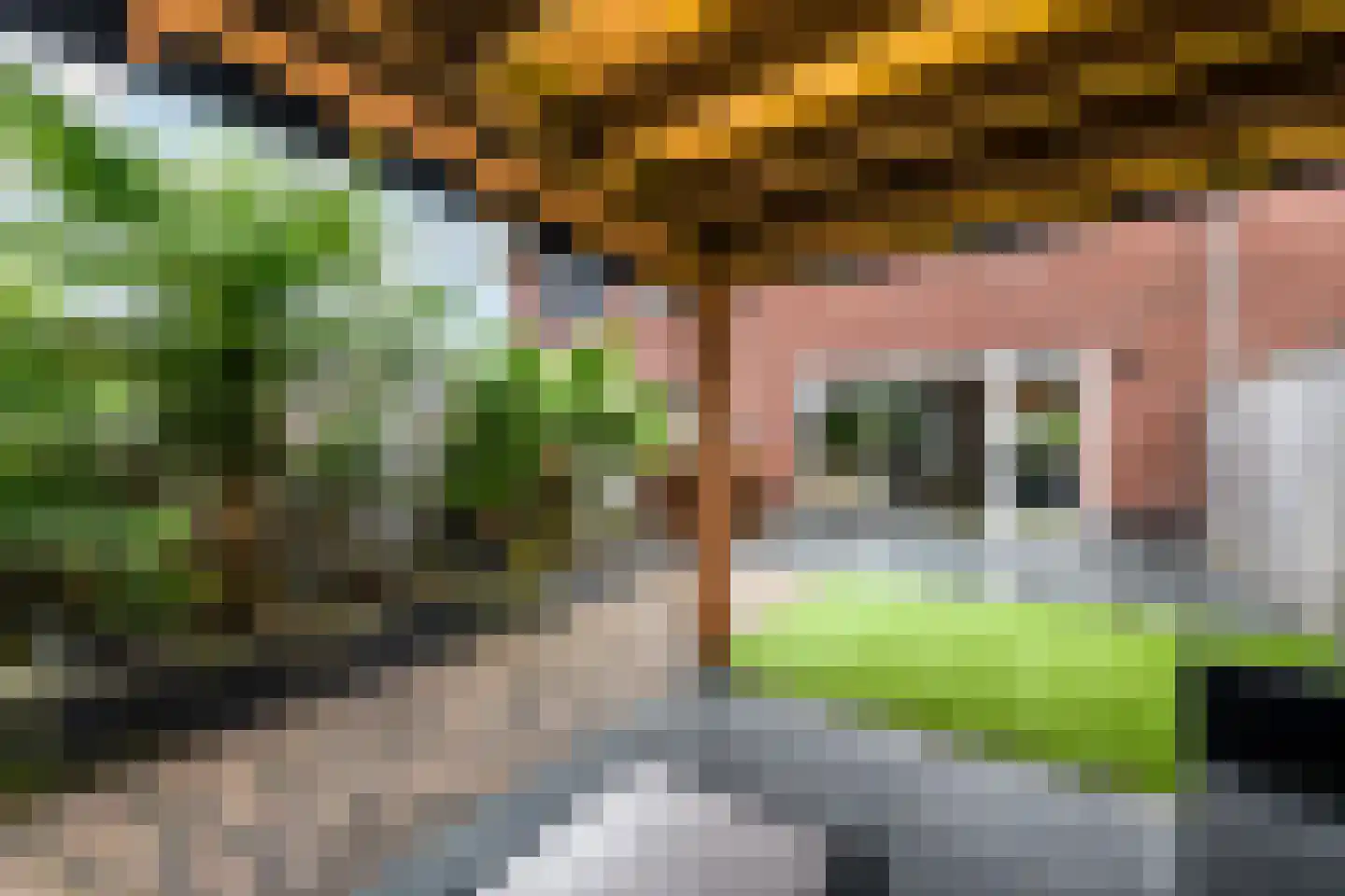 Dagpauwoog 24 Wolvega thumbnail 37
