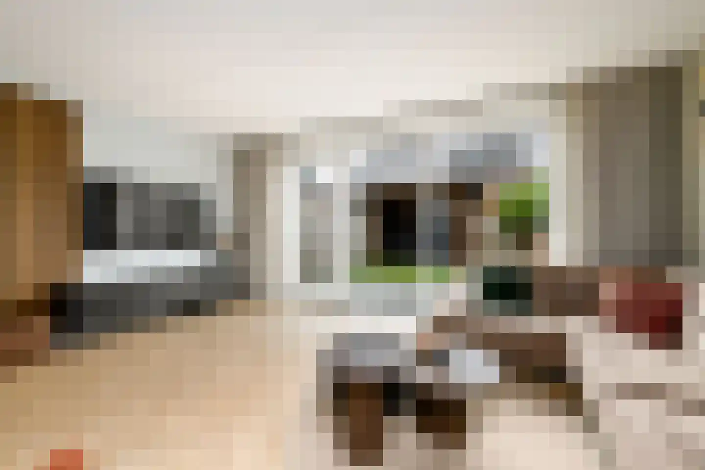 Dagpauwoog 24 Wolvega thumbnail 5