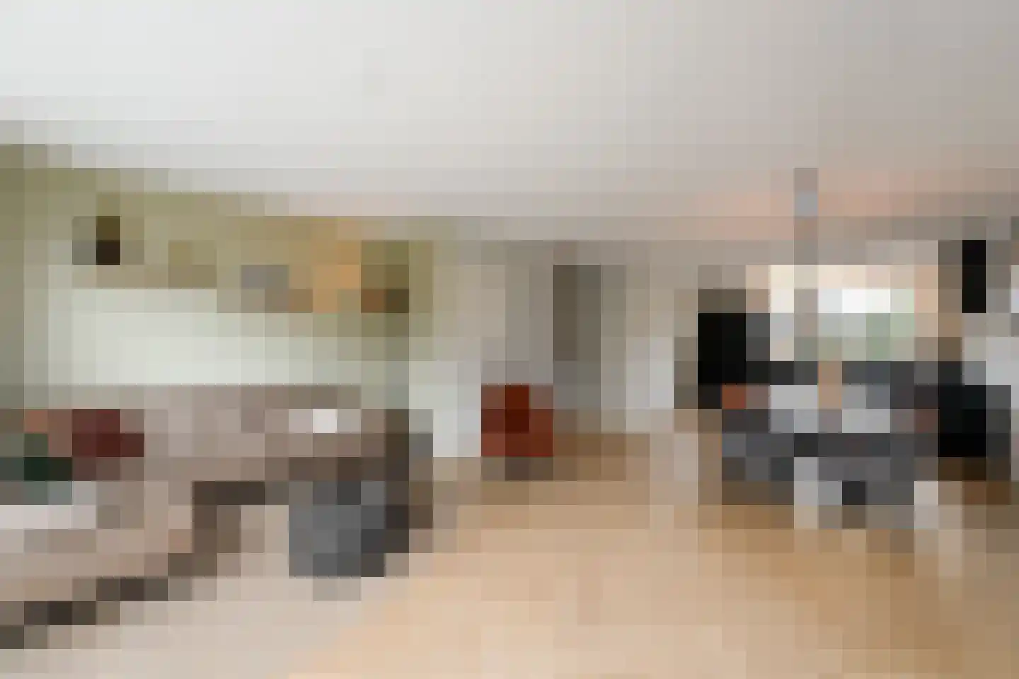 Dagpauwoog 24 Wolvega thumbnail 6
