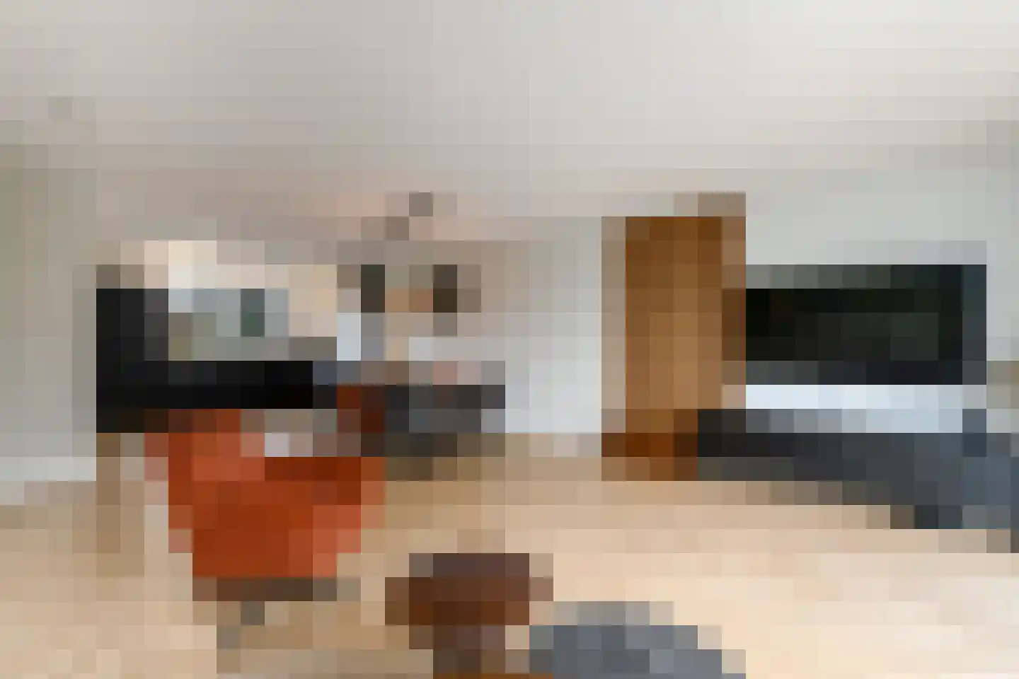 Dagpauwoog 24 Wolvega thumbnail 7