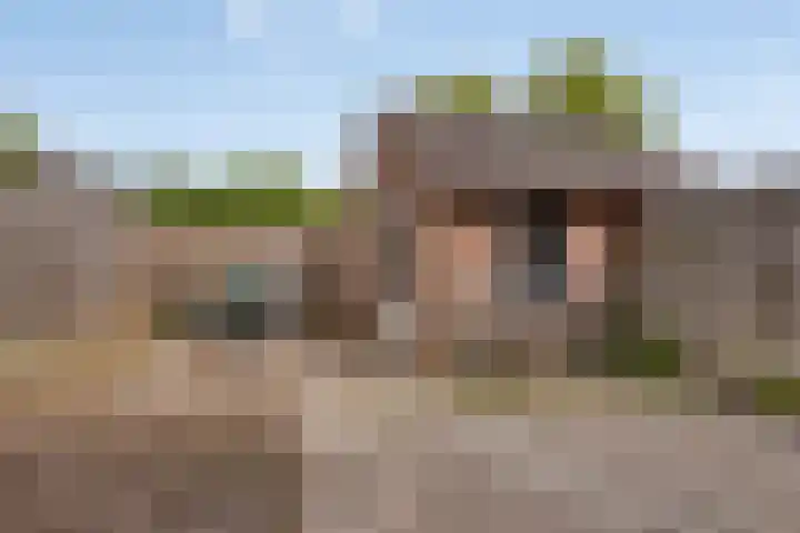 Dagpauwoog 25 Deventer thumbnail 18