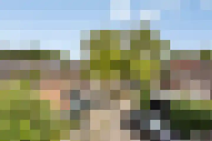 Dagpauwoog 25 Deventer thumbnail 21