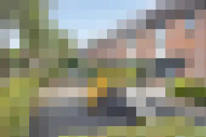 Dagpauwoog 25 Deventer thumbnail 25