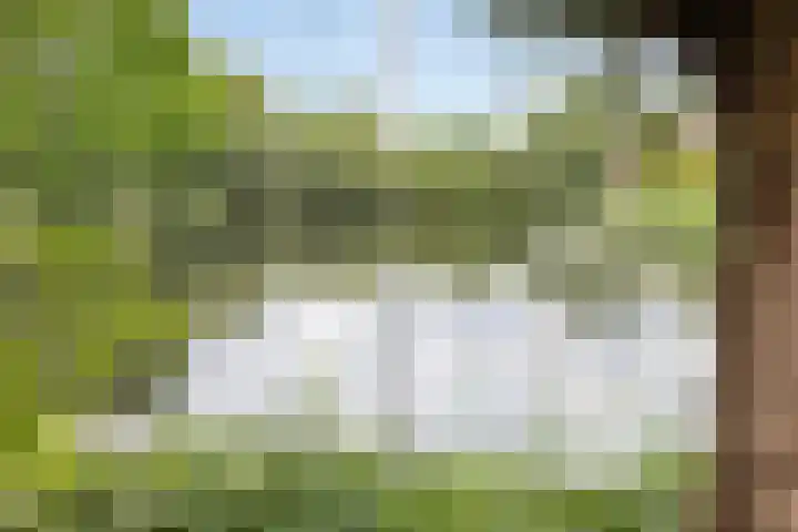 Dagpauwoog 25 Deventer thumbnail 26