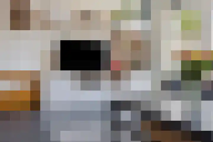 Dagpauwoog 3 Breda thumbnail 10