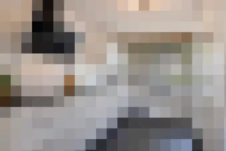 Dagpauwoog 3 Breda thumbnail 13