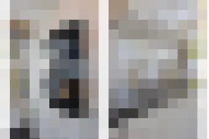 Dagpauwoog 3 Breda thumbnail 14