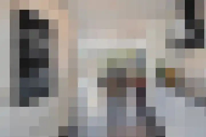 Dagpauwoog 3 Breda thumbnail 16