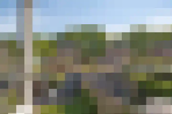 Dagpauwoog 3 Breda thumbnail 17