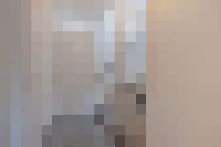 Dagpauwoog 3 Breda thumbnail 18