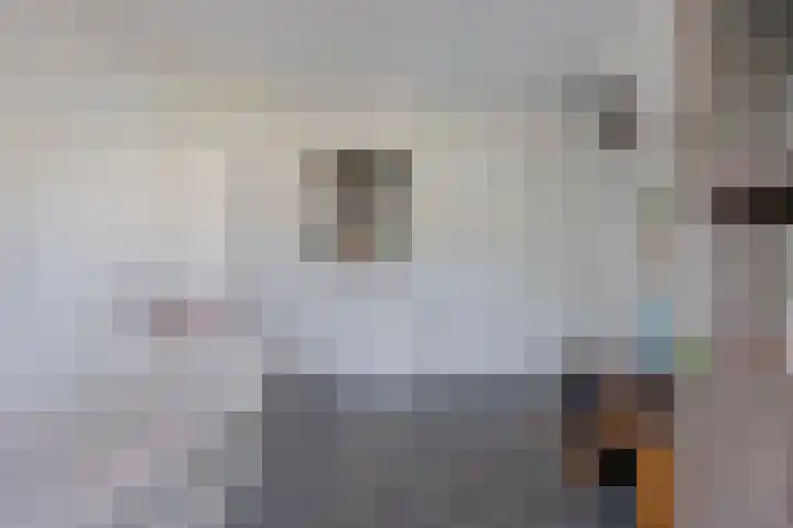 Dagpauwoog 3 Breda thumbnail 25