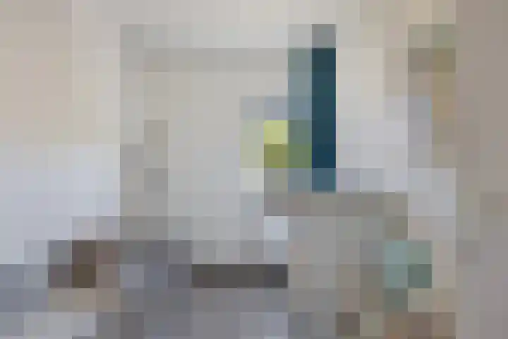 Dagpauwoog 3 Breda thumbnail 26