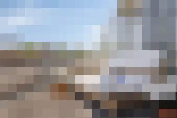 Dagpauwoog 3 Breda thumbnail 29