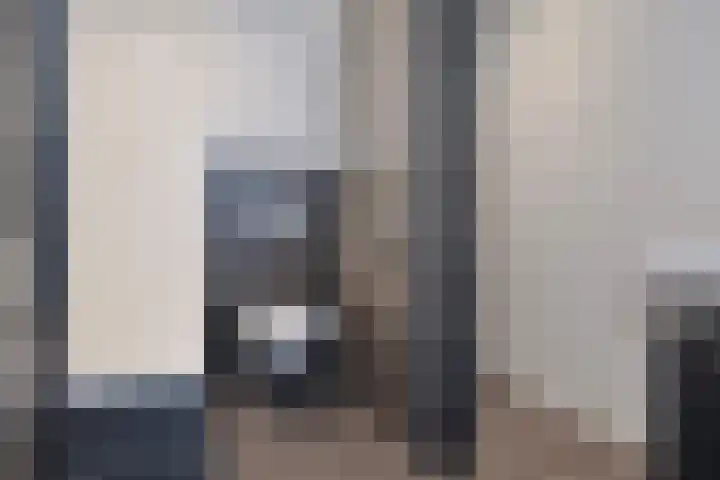 Dagpauwoog 3 Breda foto 3